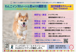 プロのカメラマンが撮影!全国各地でドッグラン撮影会を開催中 画像