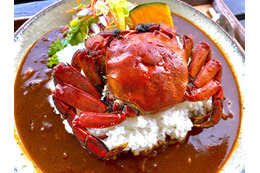 伊豆名物・ズガニグルメが今年も!出汁の効いた2種の濃厚カレーメニュー登場 画像