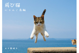 猫たちの島暮らしを収録した 「飛び猫　にゃんこ島編」が発売決定