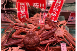 阪神梅田本店で「松葉ガニ」販売スタート!7日は「理由ありガニ」が格安で登場 画像