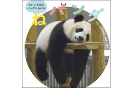 パンダの癒しの寝姿を集めた写真集『ねパンダ』が発売決定! 画像