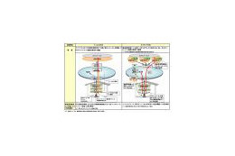 NTT東西、NGNにおけるIPv6接続約款変更を認可申請 画像