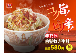 すき家、「赤だれ白髪ねぎ牛丼」新発売!シャキシャキ食感&コク旨ピリ辛だれ 画像