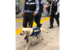 大型国際会議期間中、鉄道駅で「危険物察知犬」活用した警備が実施 画像