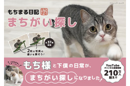 人気ねこ“もちまる”が間違い探しに！『もちまる日記まちがい探し』予約受付開始 画像