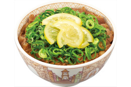 岩塩ガーリックと砂糖漬レモンが爽やか!すき家「ねぎ塩レモン牛丼」を今年も販売 画像