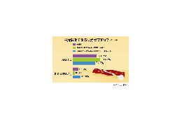 恋人でもイヤ? 人に耳かきしてあげるの「好きではない」人が8割 画像
