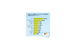 大人も楽しめるクッキングトイ（調理玩具）、作ってみたいもの1位は？ 画像