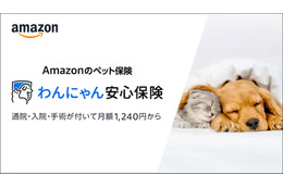 Amazon、ペット保険「わんにゃん安心保険」発売 画像