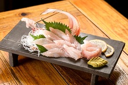 山口・宇部「うべ地魚フェア~レンチョウまつり~」市内21店舗で開催 画像
