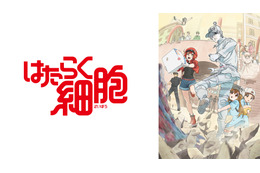 アニメ『はたらく細胞』がNHK Eテレで4月放送スタート!キャストに花澤香菜、前野智昭ら 画像
