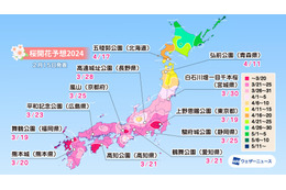 桜開花トップは東京の3月18日！平年より早まる見込み