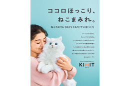 二子玉川に「ねこTAMA DAYS CAFE」期間限定オープン