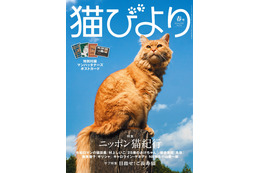 令和ロマンも登場！『猫びより』2024年春号が発売 画像