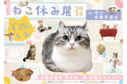守口市初上陸!「ねこ休み展」が京阪百貨店 守口店で開催 画像