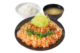 からやま&からあげ縁に春限定「梅おろしからあげ定食」「梅からあげ」が登場 画像