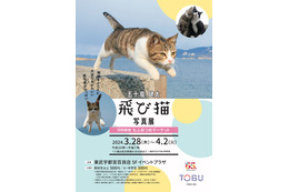 五十嵐 健太「飛び猫写真展」が東武宇都宮で開催 画像