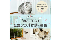 窓枠につけるキャットタワー「ねこゴロン」が公式アンバサダーを募集中 画像