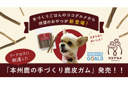 愛犬の口腔ケアに!本州鹿を使った犬用デンタルガムが予約販売開始 画像