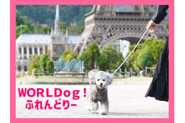 栃木・東武ワールドスクウェア、愛犬とリード入園できる「WORLDog！ふれんどりー」スタート 画像