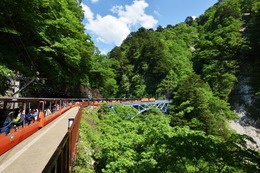 ますの寿司や温泉たまご作り体験付き!黒部峡谷トロッコ電車が黒薙温泉ツアーを開催 画像