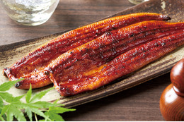 和食さと、夏の風物詩「うなぎ」「はも」の限定メニューを販売開始 画像