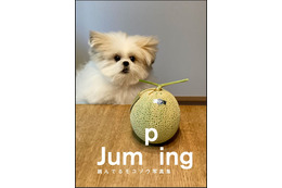 不思議可愛いミックス犬“モコゾウ”の写真集が刊行!『跳んでるモコゾウ写真集』 画像