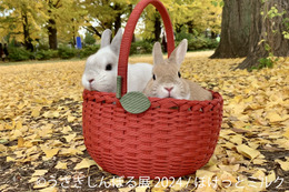 うさぎの祭典「うさぎしんぼる展 2024」東京&名古屋で開催決定 画像