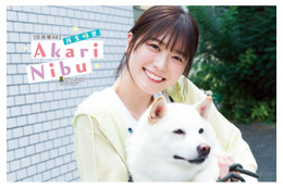 日向坂46・丹生明里、大好きな柴犬とのお散歩グラビアで幸せスマイル! 画像