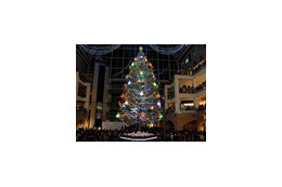 街はクリスマス気分へ！札幌ファクトリー、巨大ツリー点灯式や関連動画も公開に 画像