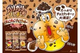 ガリガリ君新作!チョコ尽くしの秋冬アイス登場 画像