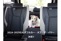 わんダフル カー・オブ・ザ・イヤー2024! 愛犬家と愛犬にとってベストな一台とは【青山尚暉のわんダフルカーライフ 最終回】 画像