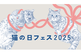 国分寺＆柏マルイで「猫の日フェス」開催！猫モチーフのグルメやグッズ大集合 画像