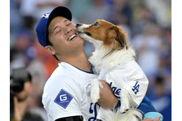大谷翔平の愛犬デコピン祝福ショットに韓国も胸キュン!「格別な愛情」「心揺さぶられる…」 画像