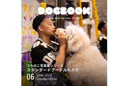 スタンダードプードルのガホちゃんがモデル！ 「うちのこ写真集シリーズ」第5弾が発売