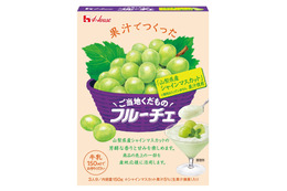 生果実のリアルな風味を再現！山梨県産シャインマスカット使用「ご当地くだものフルーチェ」11日より発売