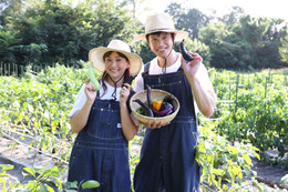 藤本美貴＆庄司智春、地上波初の夫婦ロケに挑戦！料理番組『ミキティダイニング』レギュラー放送が決定