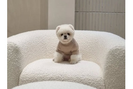 韓国の“SNSスター”が1年前にこの世を去っていた…空港の名誉広報大使務め、人気歌手のMVにも出演 画像