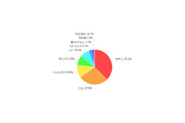 デジカメ飽和が進むなか、人気メーカーは? 画像