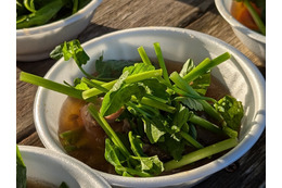 熱々のせり鍋2000人分を無料配布！宮城県名取市で「せり鍋まつり」が12月7日に開催