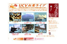 連休はお部屋でもみじ狩り!? 信州上田から紅葉ライブ中継 画像