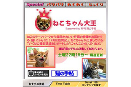 あのHITOEやかわいいねこちゃんの番組が登場!「So-net TV」7月の新番組 画像
