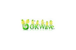 Facebookユーザ最大の悩みは“恋愛”? 〜 OKWave、「mixi」と「Facebook」を比較調査 画像