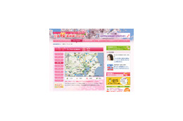 ライブカメラ、開花情報、etc. こんな桜サイトはいかが? 画像