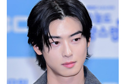 チャウヌの200億ウォン脱税疑惑、納税者連盟が情報流出を問題視　税務公務員・記者を告発へ 画像