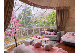 栃木の厳選食材を使用した豪華BBQ＆室内お花見が楽しめる！栃木・日光のグランピング施設が「1日1棟春限定」のプランを提供 画像