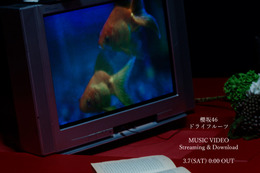 櫻坂46、村山美羽センターの新曲『ドライフルーツ』7日にMV＆先行配信決定！