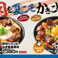 6/1(月)~全国の伝説のすた丼屋で『厚切りコンビすたみな焼肉丼』と『厚切りコンビねぎ塩焼肉丼』を発売!