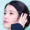 「反省なし、再犯の危険性も」IUに対して悪質な書き込みをしたユーザー、控訴審で刑が加重 画像