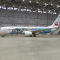 特別塗装機「JAL Jubilee Express」（C）Disney